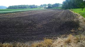 ����:Black dirt in Black Dirt Region.jpg