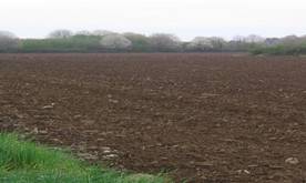 ����:BrownSoil.jpg