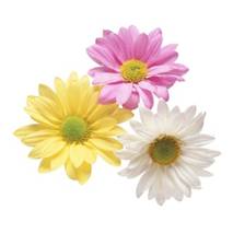 flower������� Art Collection