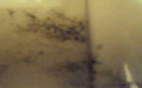 C:\Users\�������\Desktop\DSC06963_2000x1500.jpg