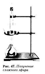 HimR10-135.jpg