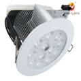 N-LD1095 LED Downlight