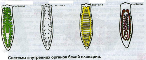 http://festival.1september.ru/articles/584585/img2.jpg