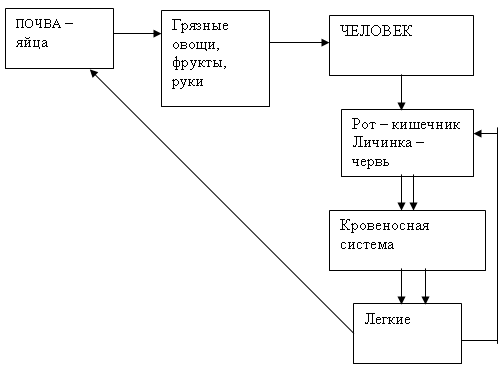 http://festival.1september.ru/articles/584585/img6.gif