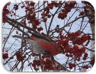 F:\����� �����\DSC03251.JPG