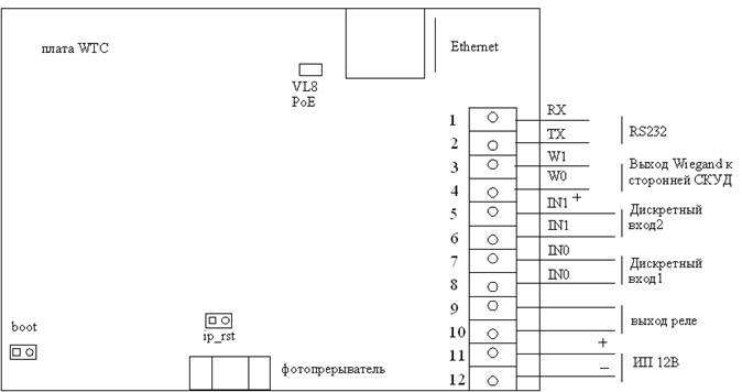 ��������: BioSmart WTC.bmp