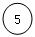 ����: 5