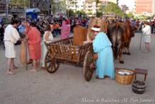 Badalona - Festa Magna Celebratio (Foto: Museu de Badalona. AI. Pere Jiménez)