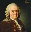 ????????? ������ ���� (Linnaeus Carl)