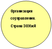 Овал: Организация соуправления. Страна ЗОЖиЯ