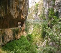 picos de europa 10