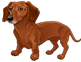 8.png"