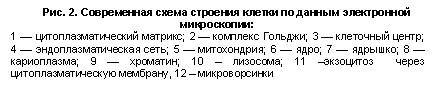 �������: