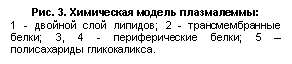 �������: