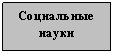 �������: