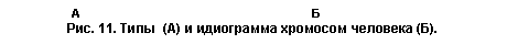 �������: