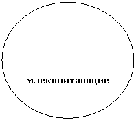����: �������������

