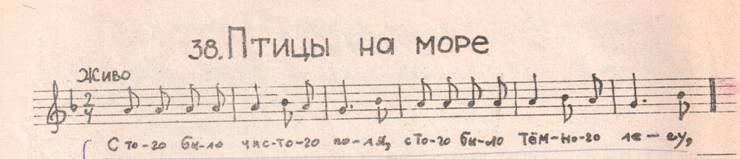 птицы на море