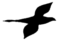 hawk_goose.gif (549 bytes)