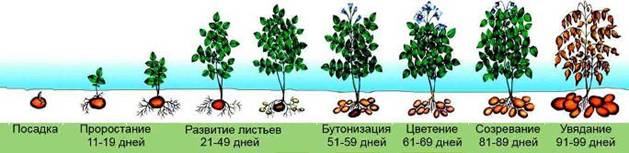F:\image373.jpg
