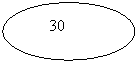 ����: 30