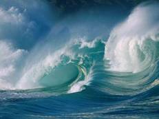 sea_big.jpg