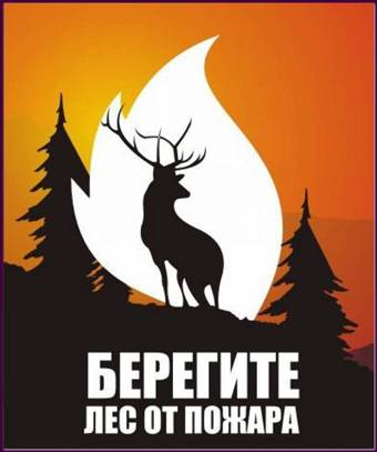 http://spbibin.nethouse.ru/static/img/0000/0003/8028/38028770.i32d2awkld.W665.jpg