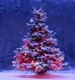 http://m.vpenze.ru/userfiles/images/image-12-2013/elochka_s_girlyandochkoy.jpg