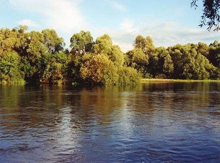 &Kcy;&acy;&rcy;&tcy;&icy;&ncy;&kcy;&acy;