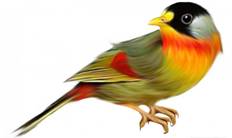 http://img1.liveinternet.ru/images/attach/c/6/93/690/93690013_1244544552_70df9ce53616.jpg