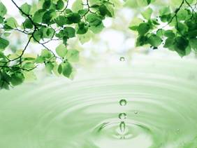 ��������: C:\Documents and Settings\User\������� ����\����\leaves-and-water-drop-apple-ipad-wallpaper.jpg