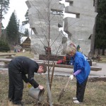 http://www.seniorschool.ru/wp-content/uploads/2009/07/Диалог-Образовательный-газон-150x150.jpg