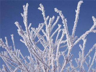 ��������: C:\Documents and Settings\User\������� ����\����\bf2a0d0a1064.jpg