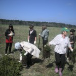 http://www.seniorschool.ru/wp-content/uploads/2009/07/Изображение-433-150x150.jpg