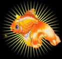 www.LightRay.ru