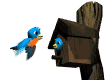 http://www.fantasyflash.ru/anime/bird/image/bird23.gif