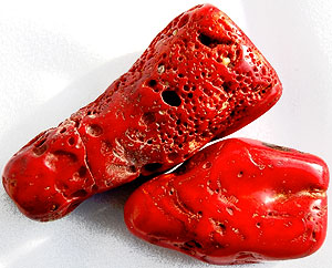 ��������: ������ ������ ��������, ������ ������ ���� ����