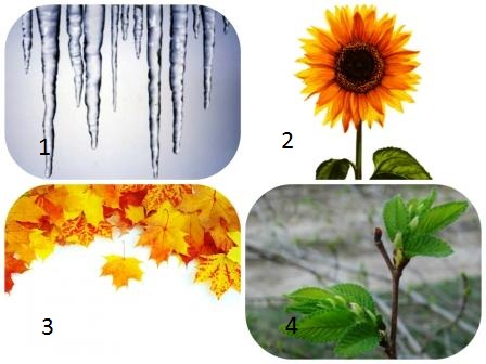 C:\Users\Пользователь\Desktop\Fotor1215182827.jpg