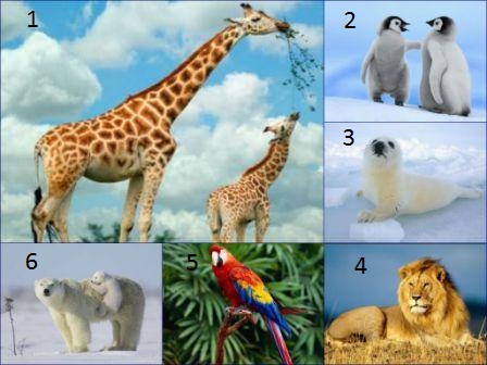 C:\Users\Пользователь\Desktop\Fotor1215190954.jpg