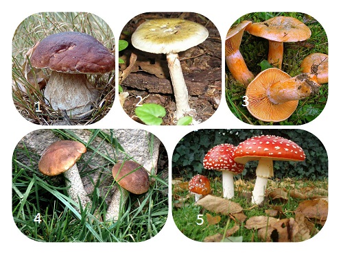 C:\Users\Пользователь\Desktop\Fotor1215204011.jpg