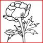 D:\Documents and Settings\��������\������� ����\cveti_07_polya.png