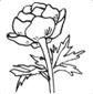 D:\Documents and Settings\��������\������� ����\cveti_07_polya.png