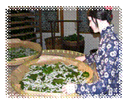 http://i225.photobucket.com/albums/dd49/Yarowind/China/Suchzou/part_2/DSCN1975.jpg