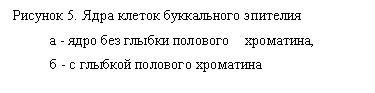 �������: