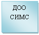 Подпись: ДОО СИМС