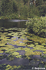 http://www.lenobl.ru/Pictures/75895111891718.jpg