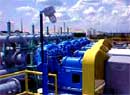 ������������� ������������