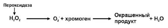 http://unimedao.ru/files/docs/statji/Glukoza/Gluris2.jpg