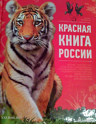 &Scy;&kcy;&acy;&chcy;&acy;&tcy;&softcy;