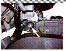 �������: 